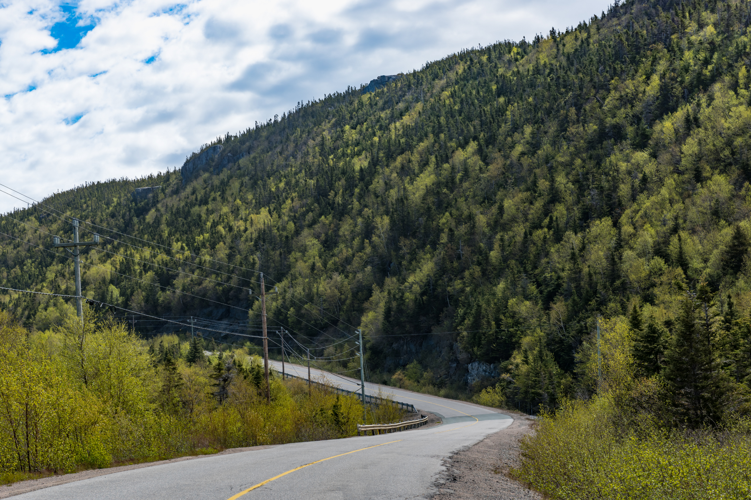 terra nova national park, newfoundland (4).webp
